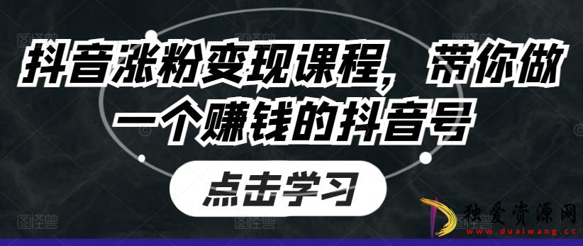 抖音涨粉变现课程带你做一个赚钱的抖音号