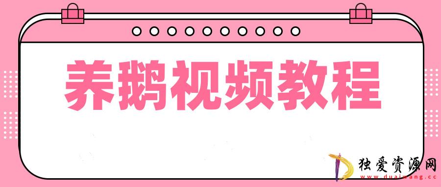 养鹅技术养殖增收有新招科学养鹅教程