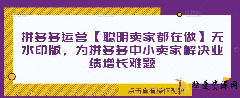 拼多多运营无水印版中小卖家解决业绩增长难题